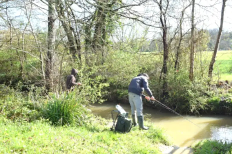 Ouverture de la pêche à la truite perturbée par les eaux troubles à Baleyssagues
