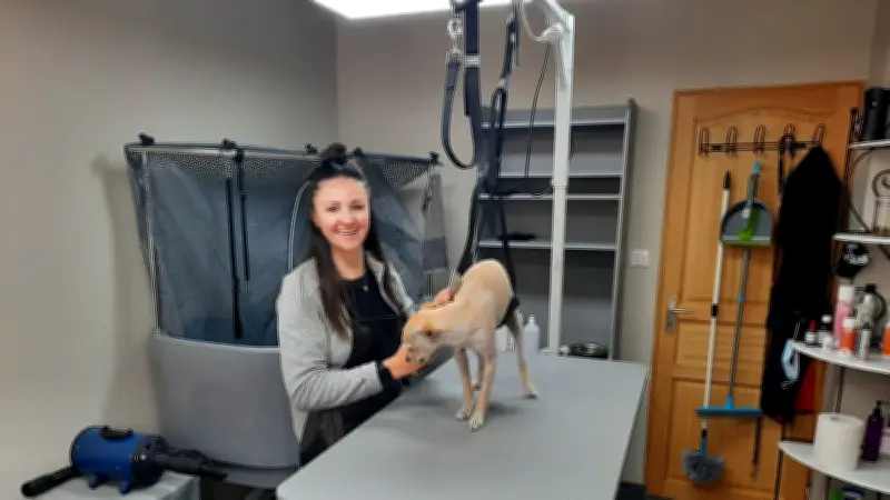 Ouverture d'un salon de toilettage pour animaux à Langogne, Lozère