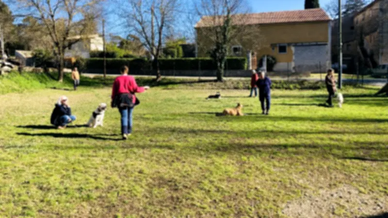 Pat'Agile : éducation canine sous le soleil printanier du Gard