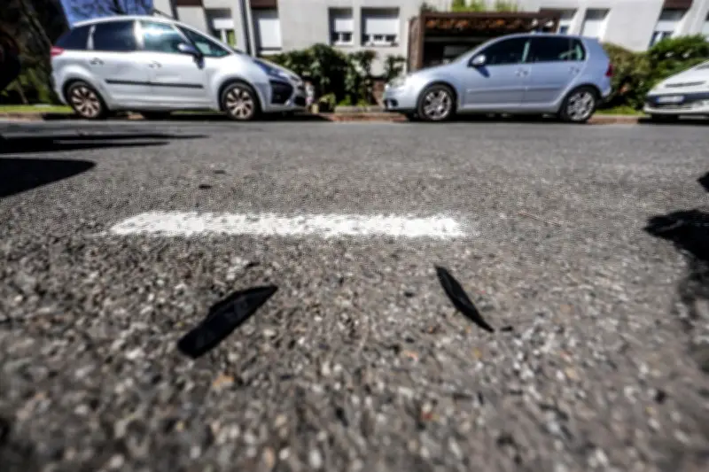 Pau : le passager d'un refus d'obtempérer reporté au 27 avril, maintenu en détention