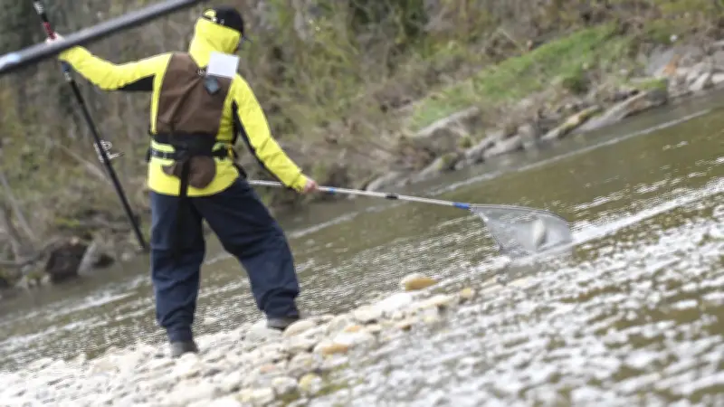 Pêche en Occitanie : comment les pêcheurs s'adaptent face au changement climatique