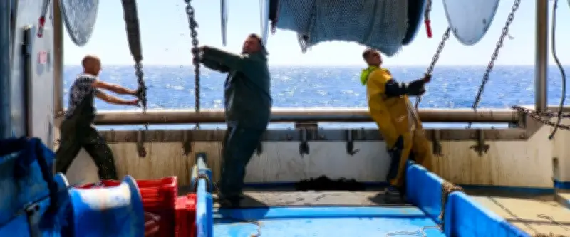 Pêcheurs du Grau-du-Roi : entre passion et menaces, un métier en sursis