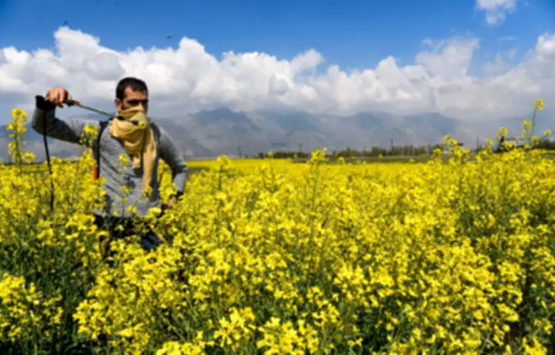 Pesticides dans l'air : une carte interactive révèle leur présence sur tout le territoire