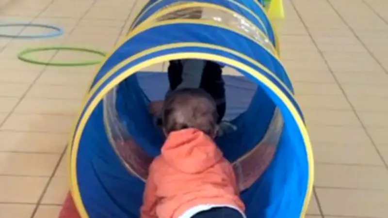 À Petits Pas rouvre ses portes à Lodève pour soutenir les jeunes parents