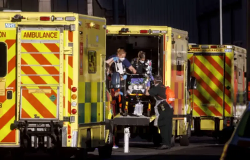 Épidémie de méningite à Canterbury : deux morts, 20 cas signalés, vaccination ciblée lancée