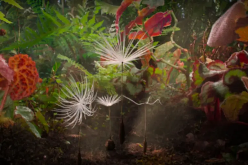 « Planètes » de Momoko Seto : une déception malgré un tour de force technique