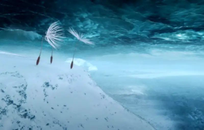 Planètes : le film qui donne vie aux graines de pissenlit comme jamais auparavant