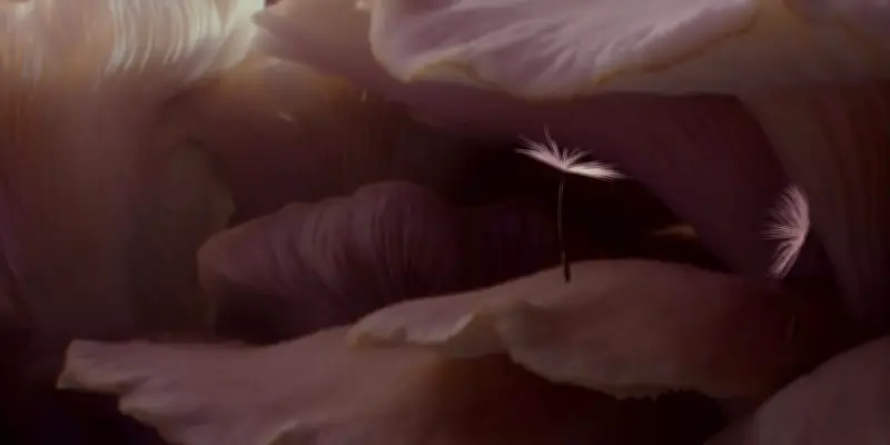 Planètes : l'odyssée merveilleuse de quatre graines de pissenlit