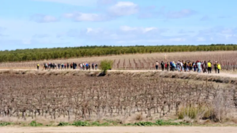 Pèlerinage de Colombiers à Saint-Joseph de Mont-Rouge : un parcours spirituel dans l'Hérault