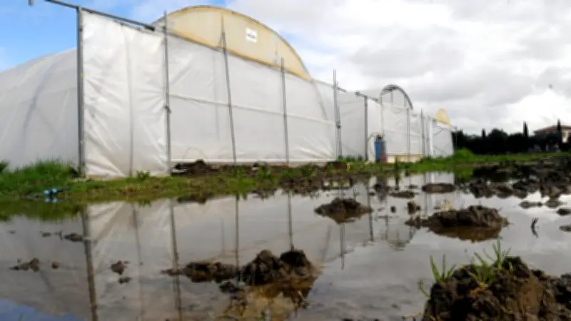 Pluies diluviennes en Occitanie : les agriculteurs face à une crise sans précédent