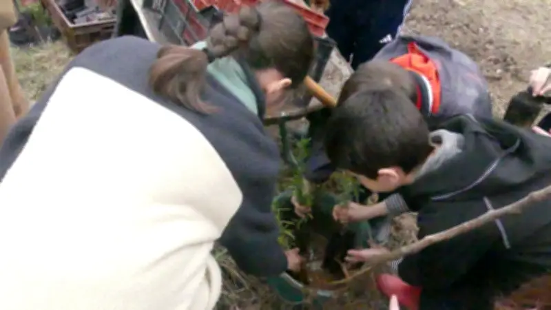 Plus de 50 enfants plantent 890 arbres fruitiers pour la biodiversité en Gard