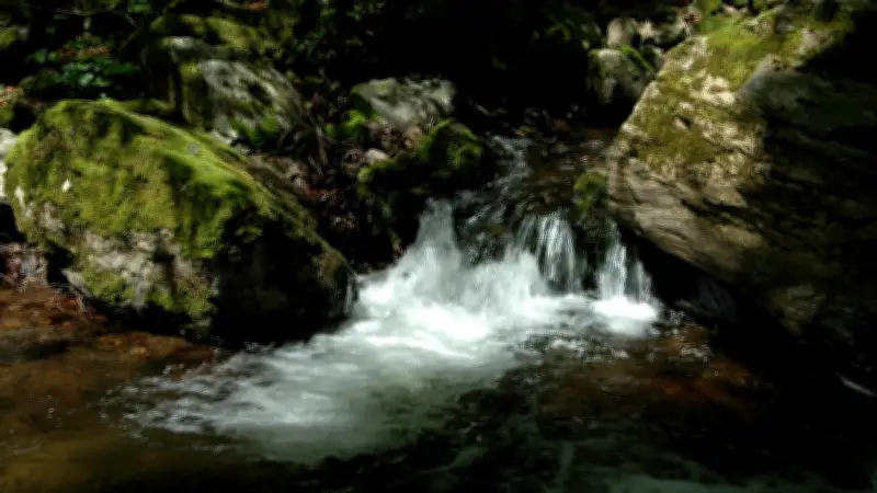 Pollution d'un ruisseau à Badaroux : un barrage installé sur le Lot pour contenir la contamination