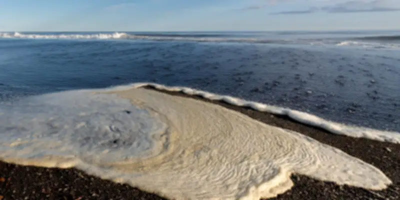 Pollution humaine omniprésente dans les eaux marines mondiales