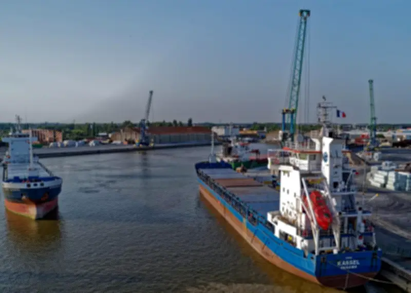 Port de Rochefort-Tonnay-Charente : un trafic en hausse de 6% en 2025, mais deux dynamiques distinctes