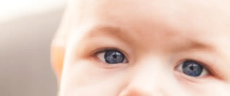Pourquoi les hommes aux yeux clairs préfèrent les femmes aux yeux clairs : une stratégie évolutive