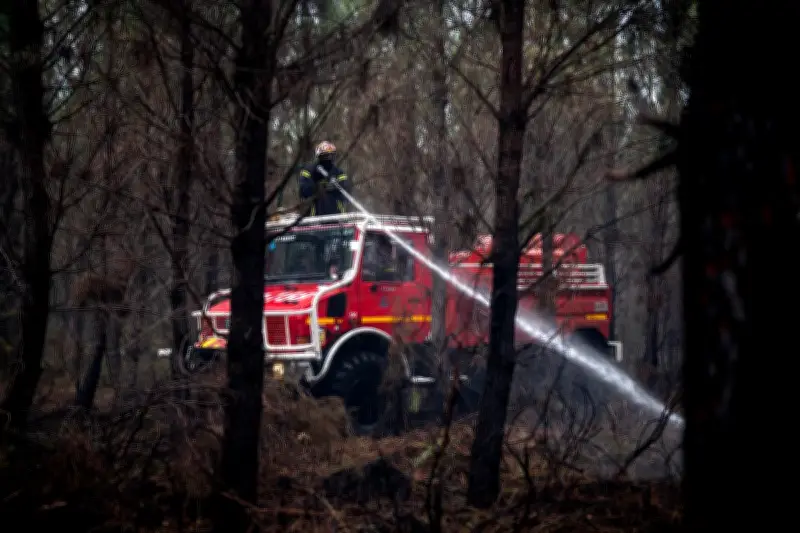 Premier incendie de forêt 2026 dans les Landes : 3 385 m² de pins ravagés à Mazerolles