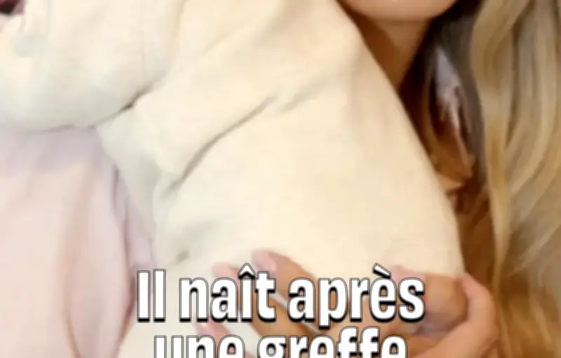 Première mondiale au Royaume-Uni : un bébé né grâce à une greffe d'utérus post-mortem