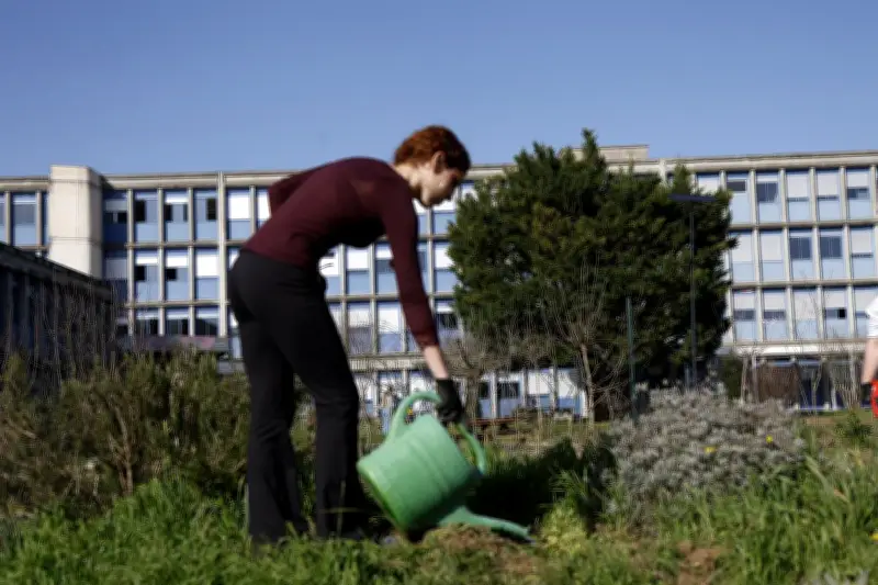 Périgueux : Le projet Green Campus transforme l'IUT en jardin solidaire et pédagogique