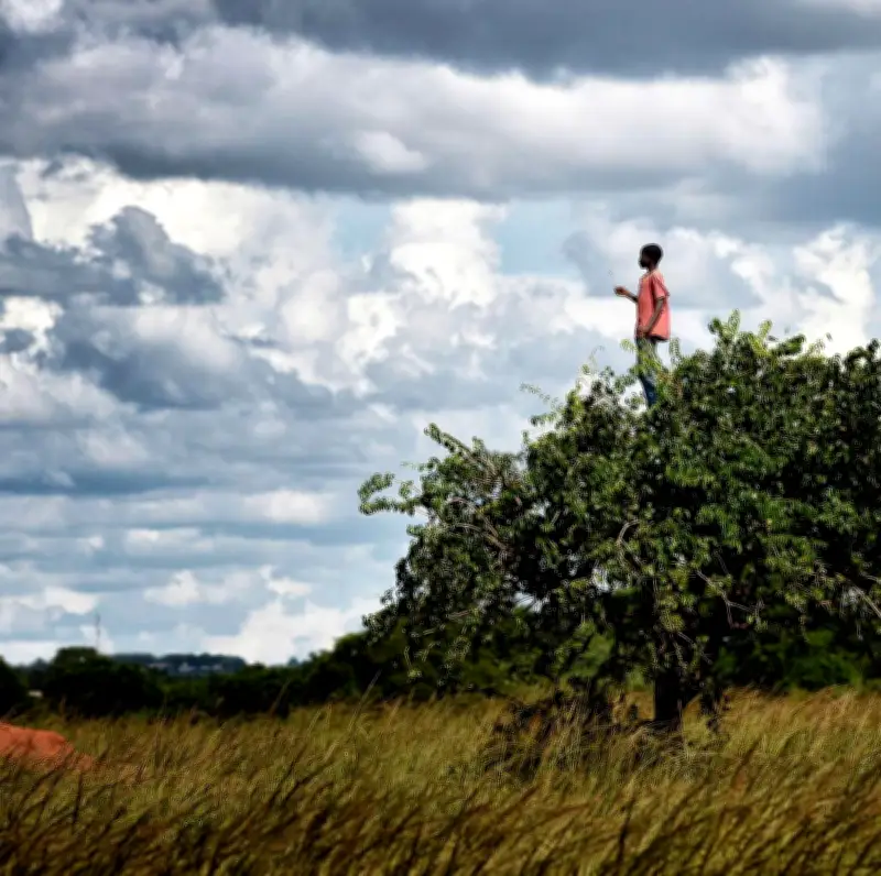 Printemps des poètes 2024 : Isabelle Adjani et la liberté en vers dans le Sud-Ouest