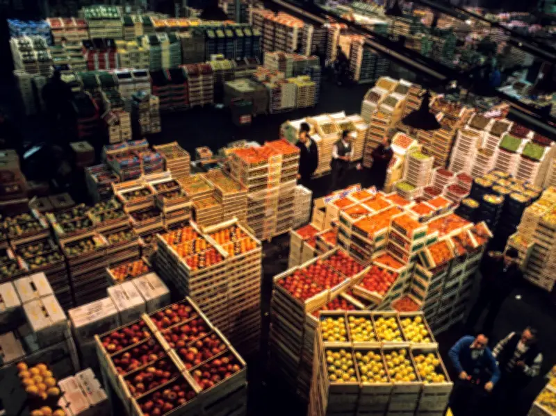 Prix du GNR et engrais en flambée : agriculteurs et automobilistes face à la spéculation