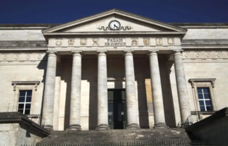 Procès de Dijon : une mère et sa grand-mère jugées pour avoir caché des jumelles dans un sac