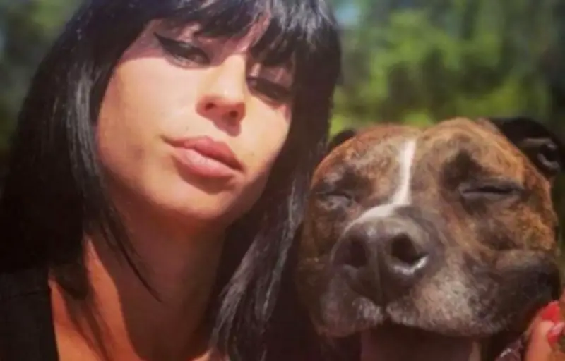 Procès de la mort d'Elisa Pilarski : le chien Curtis, pièce à conviction vivante, au cœur des débats