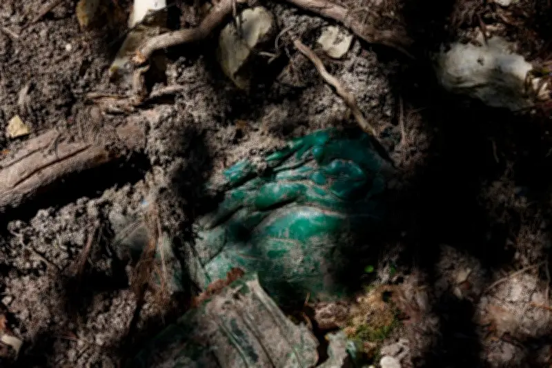 Procès de Nestlé dans les Vosges : pas d'expertise supplémentaire pour les décharges sauvages