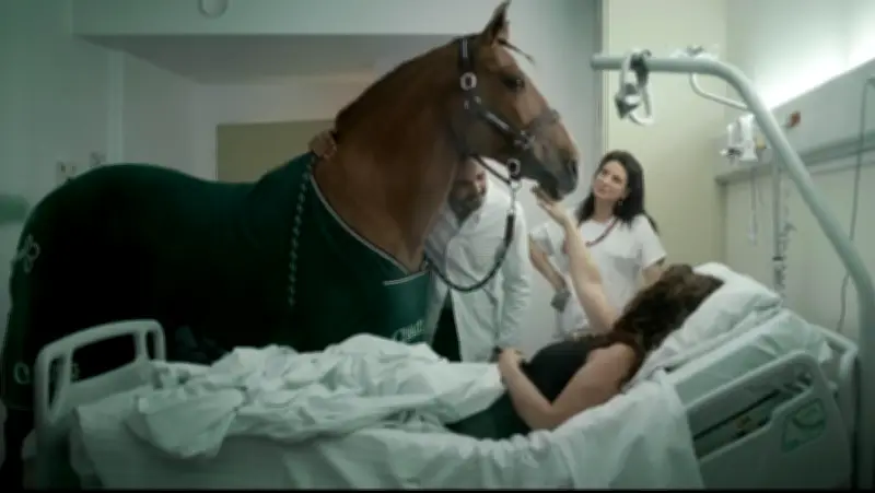 Projections du film sur la fin de vie à Aire-sur-l'Adour et Mont-de-Marsan