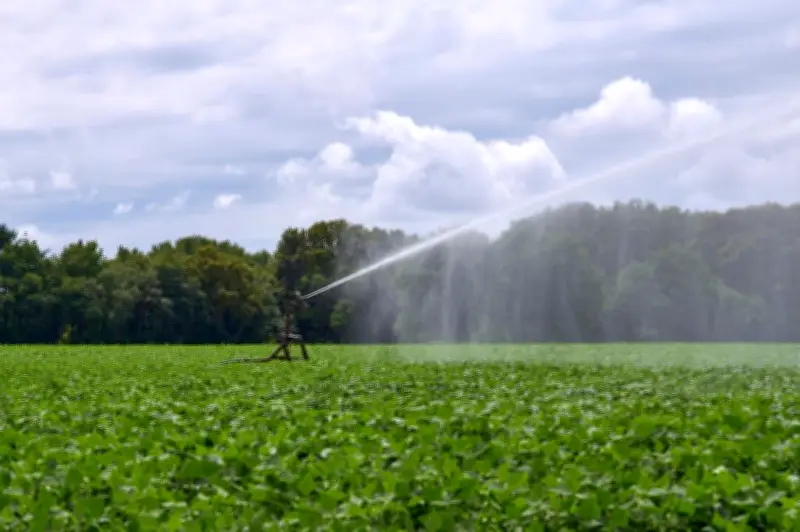 Projet de loi d'urgence agricole : les acteurs de l'eau alertent sur des reculs environnementaux
