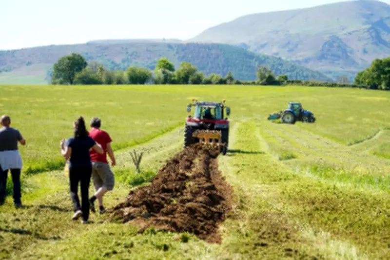 Projet Marienia à Cambo-les-Bains : un herbicide nuitamment répandu ravive les tensions électorales