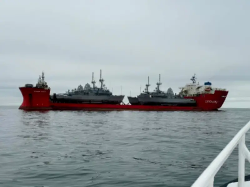 Psychose des mines navales dans le détroit d'Ormuz, un enjeu stratégique majeur