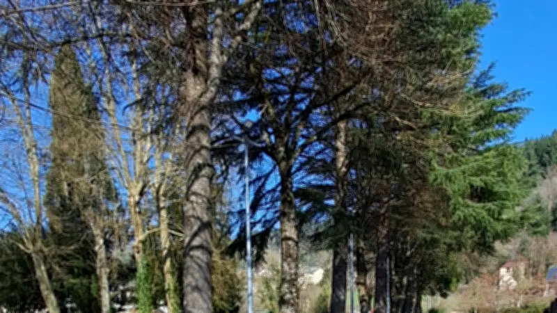 Pétanque en Aveyron : les éliminatoires départementales s'annoncent serrées à Saint-Jean-du-Bruel