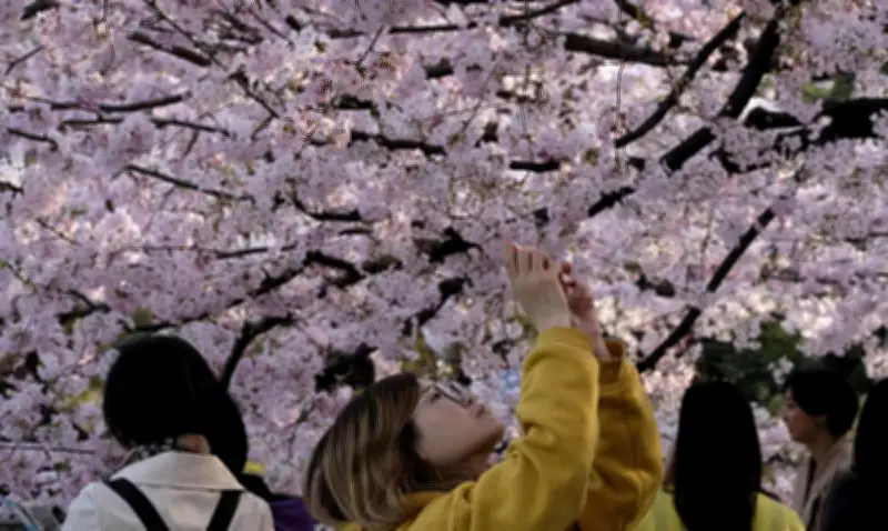 Équinoxe de Printemps 2024 : Traditions et Phénomènes Naturels Autour du Globe