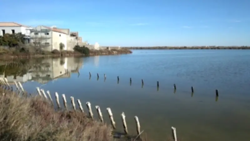 Rando zen pour les droits des femmes dans les salins de Frontignan ce dimanche
