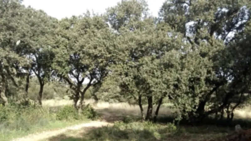 Randonnée au Trou de la Lune : une boucle de 8 km pour découvrir les secrets des Hauts de Villeneuve
