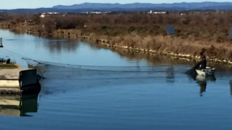 Randonnée solidaire et gourmande autour des étangs de Palavas-les-Flots