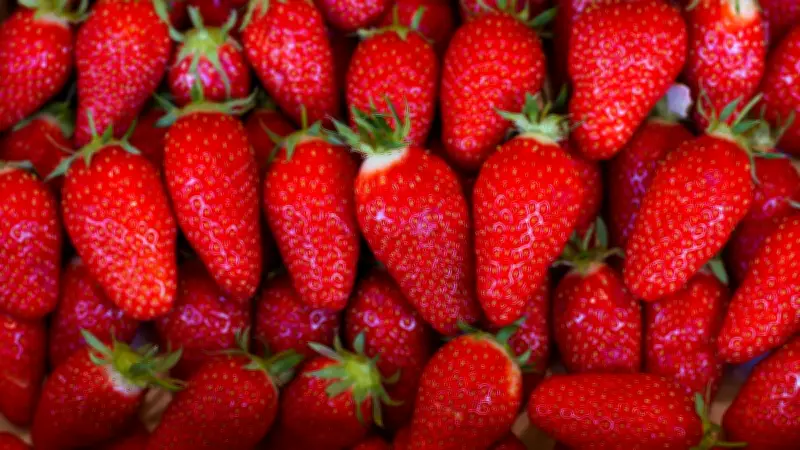 Rappel national de fraises contaminées aux pesticides chez Fresh et Grand Frais