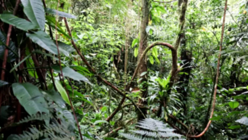 Raymond Maufrais déclaré mort 76 ans après sa disparition en Guyane