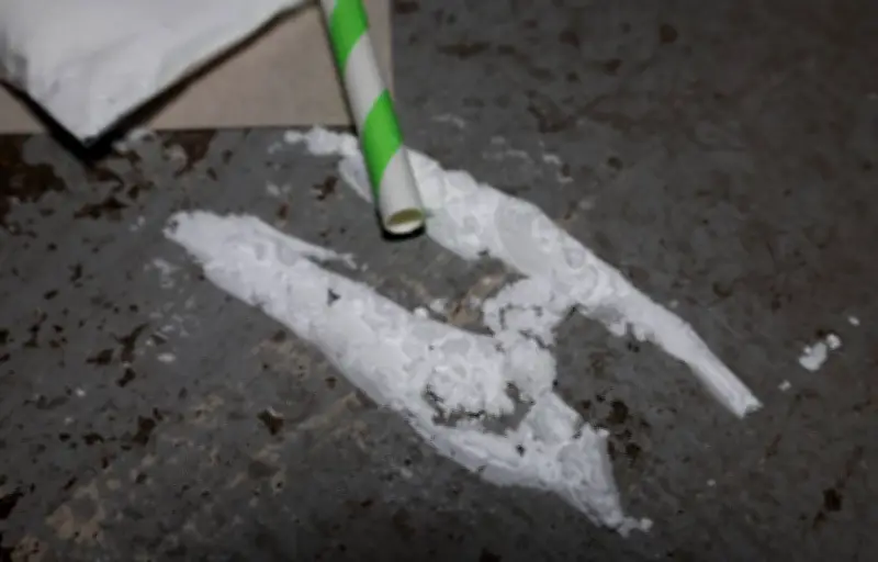 Record historique : 13 tonnes de cocaïne saisies à Dunkerque par les douanes