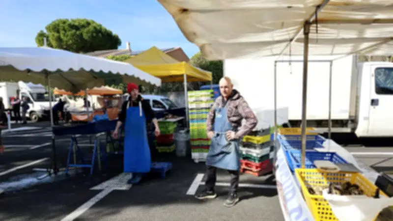 Retour des coquillages et poissons au marché dominical du Crès dans l'Hérault