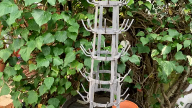 Retour précoce des moustiques sur le littoral méditerranéen : vigilance accrue