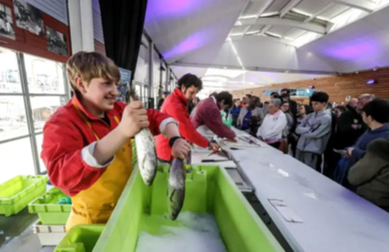 Retour triomphal des enchères de poissons à La Rochelle après deux ans d'absence