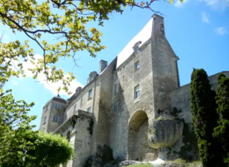 Rénovation du château : Nathalie Aubin, architecte du patrimoine, pilote le chantier