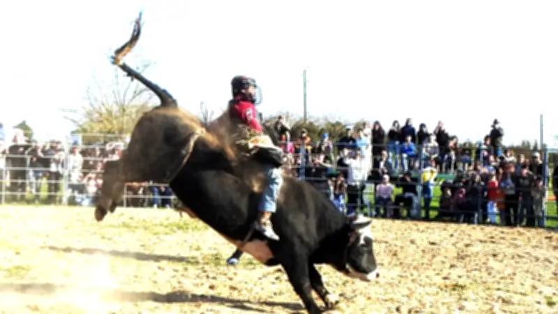 Rodéo et voltige équestre illuminent le festival Terres et passions à Saint-Gilles