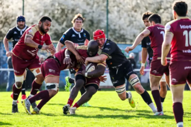 Rugby Fédérale 1 : Floirac, Saint-Médard-en-Jalles et le RC Bassin d'Arcachon en déplacement ce dimanche