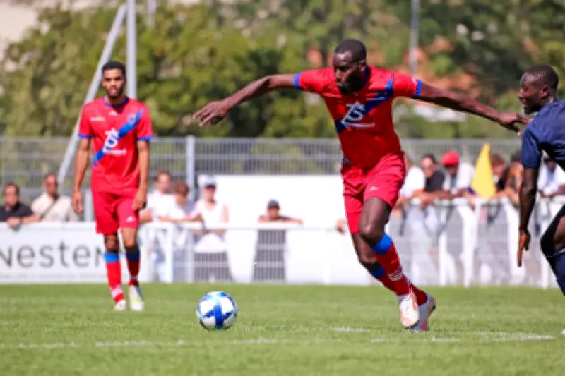 Rugby Fédérale 2 : Enjeux cruciaux pour les équipes girondines ce week-end