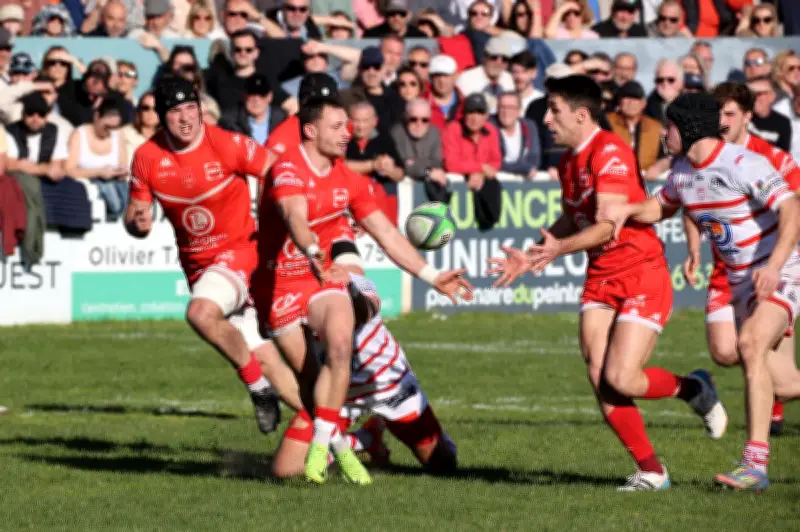 Rugby : Langon résiste et s'impose face à Salles dans un derby girondin haletant