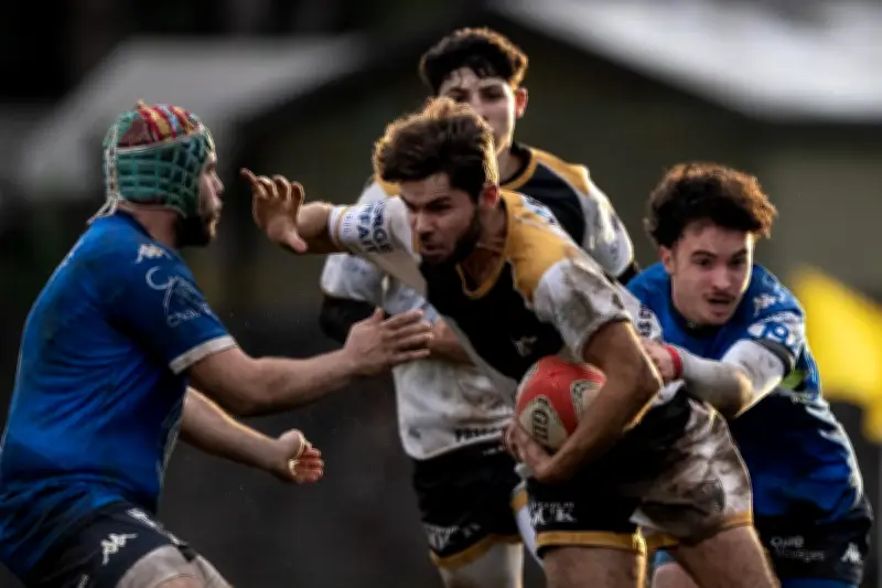 Rugby Régional : Les Insulaires de Ré en Forme, Angély en Difficulté