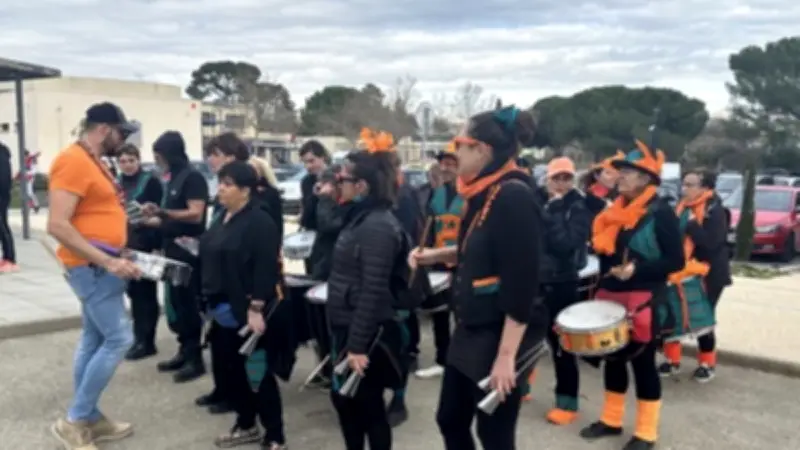 Saint-Gervasy : un carnaval festif et coloré organisé par l'APE