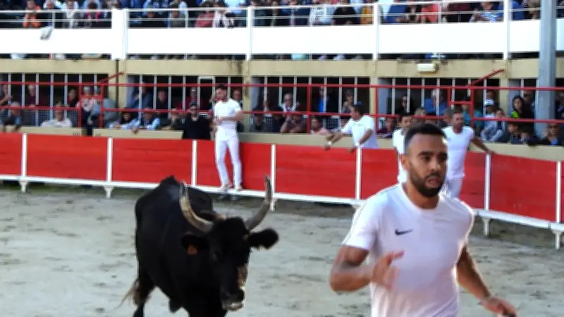 Saint-Gilles lance sa saison festive avec la Fête de la Bouvine